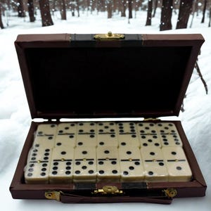 Domino Set with Case. Classic Double-Six Dominoes in Faux Leather Box. Gift for Dad. Retro Family Game. Travel Game Set Vintage Dominoes Set