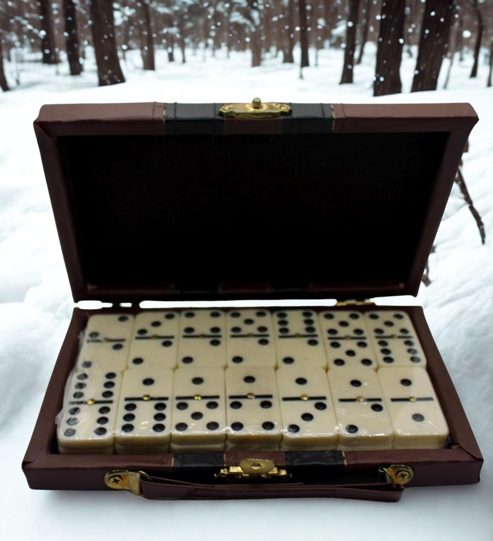 Domino Set With Case. Classic Double-six Dominoes in Faux Leather