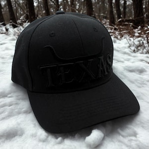 May include: A black baseball cap with the word "TEXAS" embroidered in black. The cap has a curved peak and a structured crown. The background shows a snowy landscape with trees.