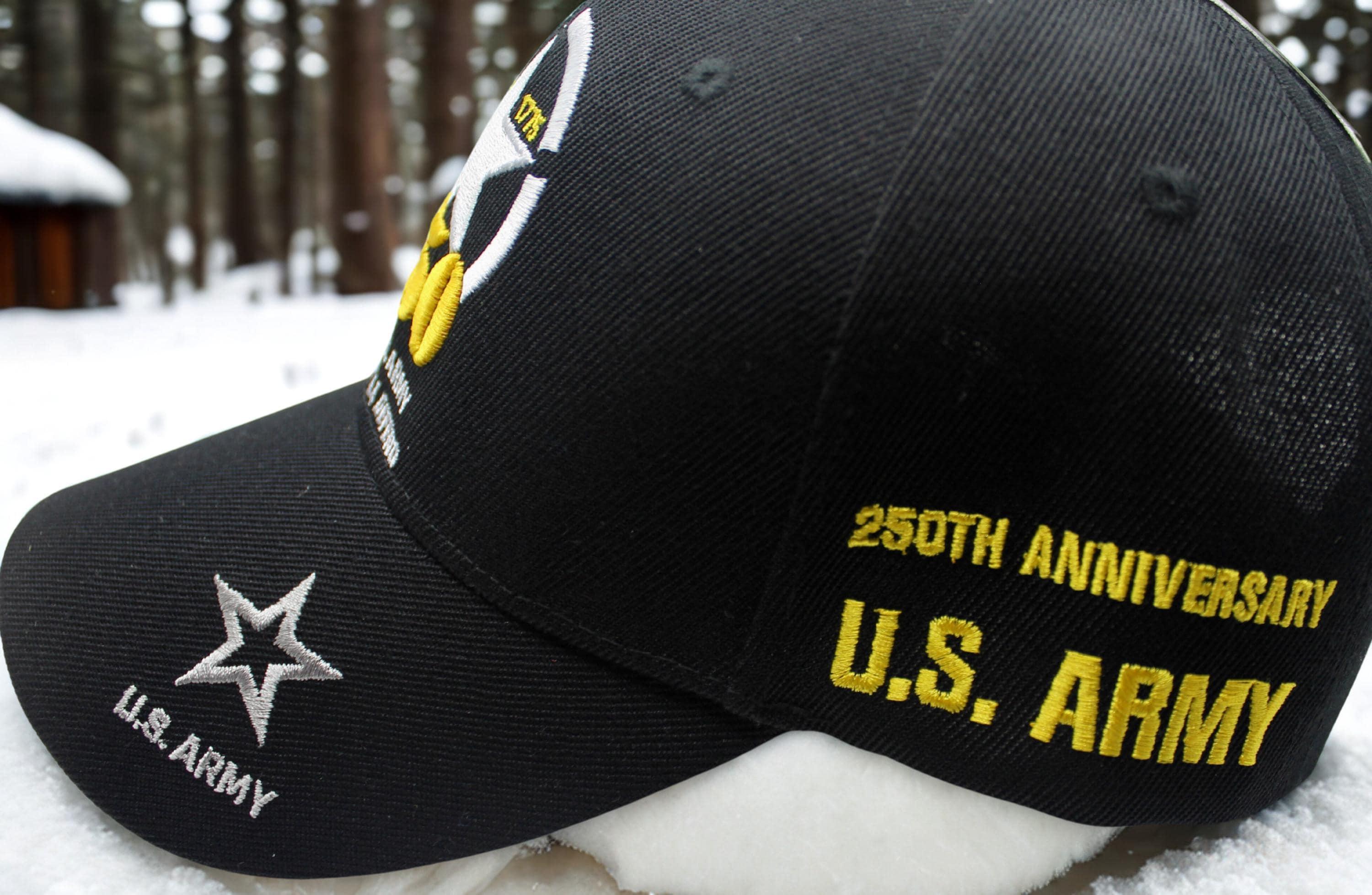 アメリカ陸軍250周年記念帽子。退役軍人用キャップ。お父さんへの