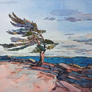 Georgian Bay Lake Huron Summer Ontario  Jack Pine tree  11" x 8.5"