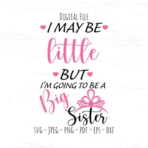 以下が含まれることがあります： ピンクと黒のテキストグラフィックデザインで、「I may be little but I'm going to be a Big Sister」というテキストが書かれており、Bigの単語の上にピンクの王冠があります。