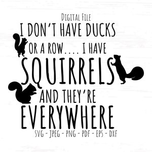 I don&#39;t have ducks or a row I have squirrels svg, Digital File, Instant Download, Sublimation, svg, jpeg, png, pdf, eps, dxf, Cut File SVG