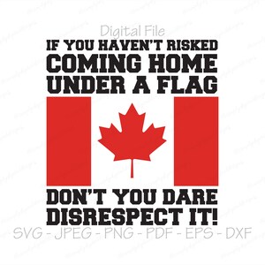 Als je niet het risico hebt genomen om naar huis te komen, wees dan niet onrespectvol SVG, digitaal bestand, direct downloaden, sublimatie, SVG, JPEG, PNG, PDF, EPS, DXF