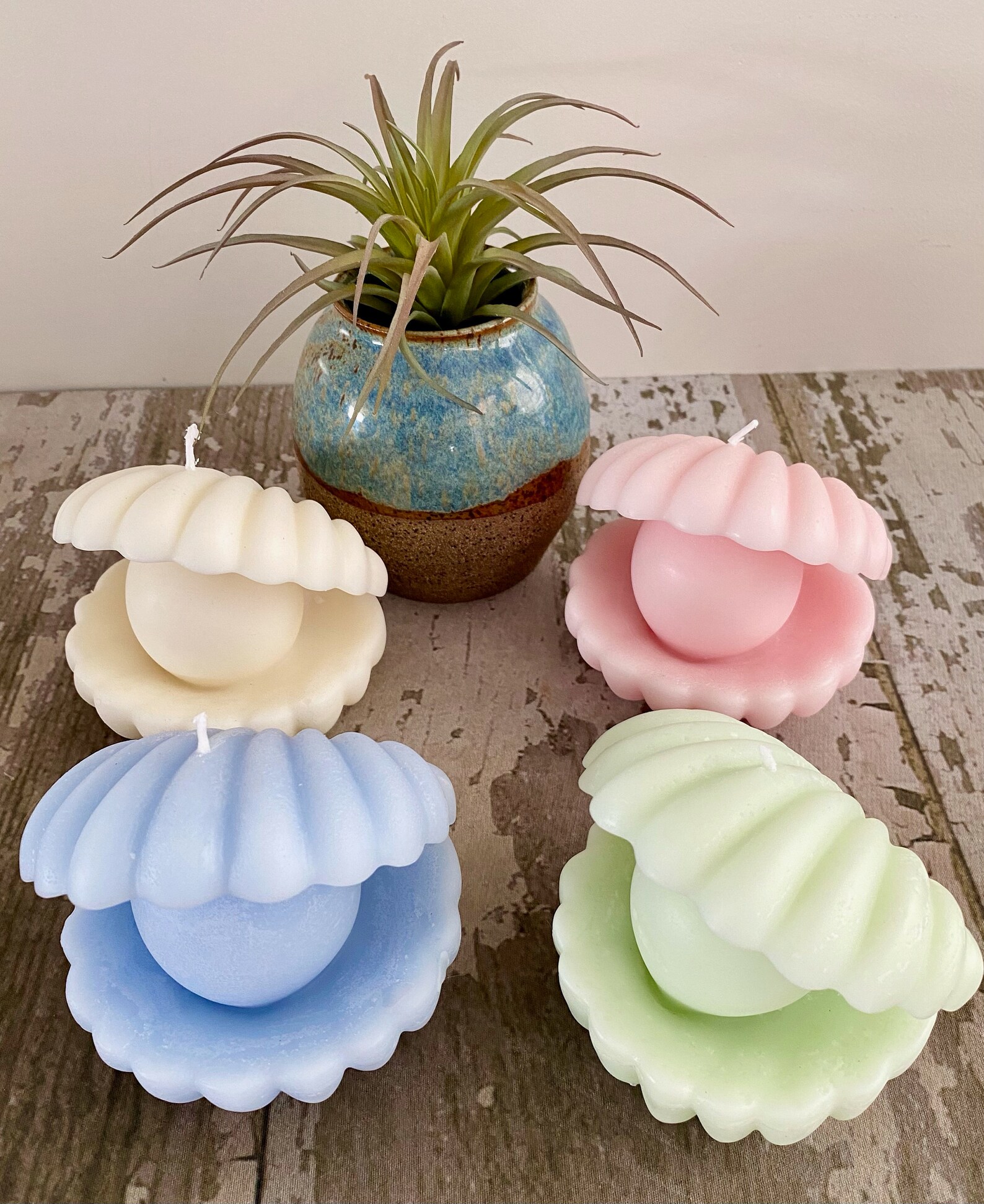 Clamshell Candle Cool Candle Shape Unique Candle Etsy