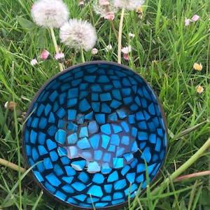 Lacquer Paint Metallic Best Gift Hand Painted Coconut Bowls Eco-Friendly Coconut Bowl,Snack Bowl
