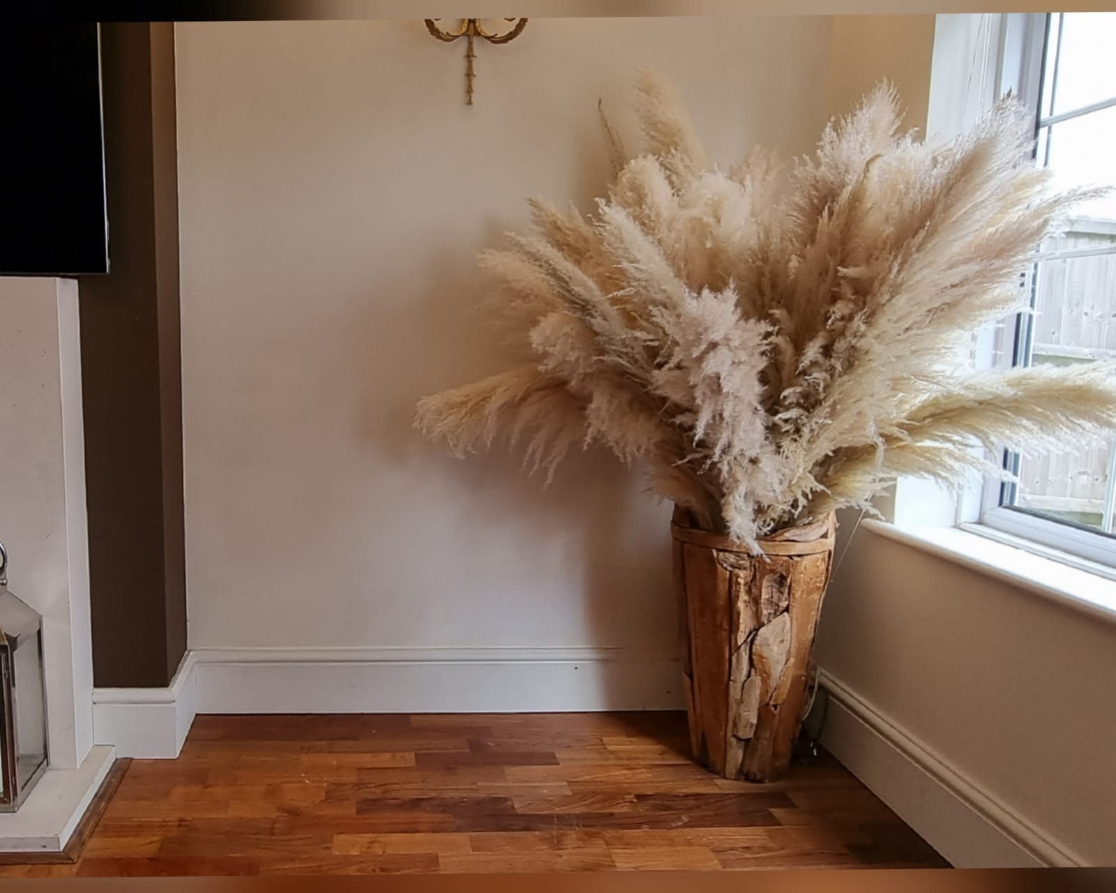 fluffy big Beige Plume Dried pampas grass