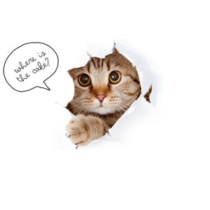 Carte d'anniversaire de chat