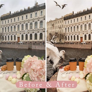 May include: A before and after image showing the effects of photo editing. The before image shows a city scene with a river, buildings, and pigeons. The after image shows the same scene with a more muted color palette and a softer overall look. The text "Before & After" is written in pink on a white background.