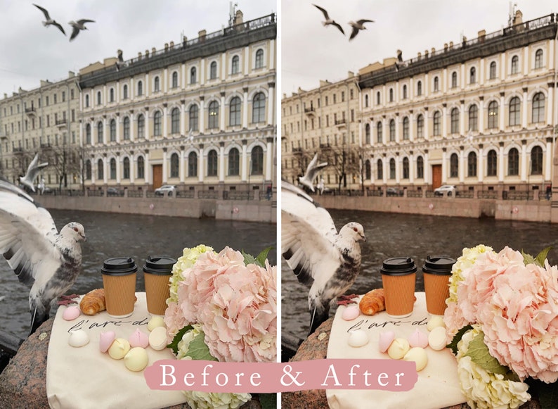 May include: A before and after image showing the effects of photo editing. The before image shows a city scene with a river, buildings, and pigeons. The after image shows the same scene with a more muted color palette and a softer overall look. The text "Before & After" is written in pink on a white background.