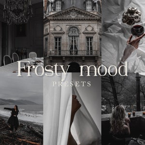 5 Minimal Silver Lightroom Mobile Desktop Presets White Black Moody Noir Filter Fashion Preset Dark Filter for Moody Wednesday Preset