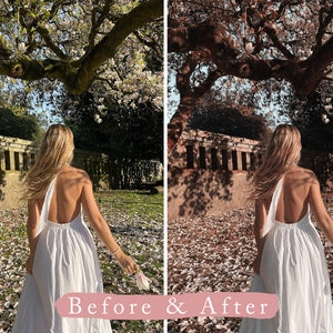 May include: A woman in a white dress walks through a garden with white flower petals on the ground. The trees in the background have white blossoms.