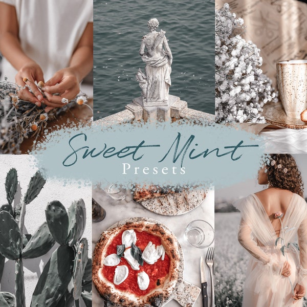 10 Bright Silver Presets Lightroom Mobile & Desktop, White Minimal Filter, Trendy Fashion VSCO Preset | Mint Preset | Instagram Blogger feed