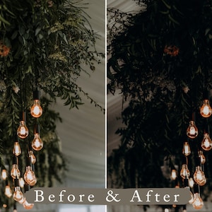 May include: A before and after image showing the difference in lighting. The image on the left shows a cluster of greenery hanging from the ceiling with a string of Edison bulbs. The image on the right shows the same scene but with the lights turned off, making the greenery appear darker.