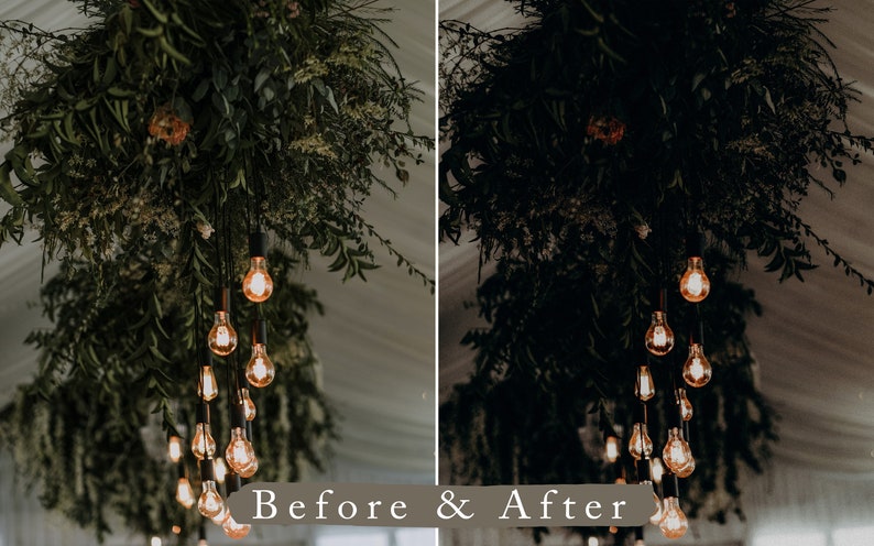May include: A before and after image showing the difference in lighting. The image on the left shows a cluster of greenery hanging from the ceiling with a string of Edison bulbs. The image on the right shows the same scene but with the lights turned off, making the greenery appear darker.