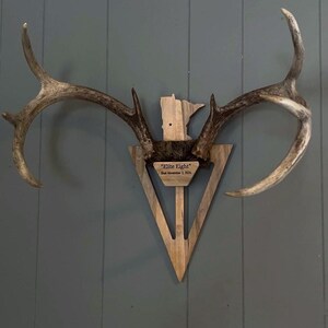 May include: Deer antlers mounted on a wooden plaque shaped like a triangle. The plaque has a wooden state outline and a small engraved sign that reads "Elite Eight" and "Shot November 2, 2024". The antlers are a light brown color.