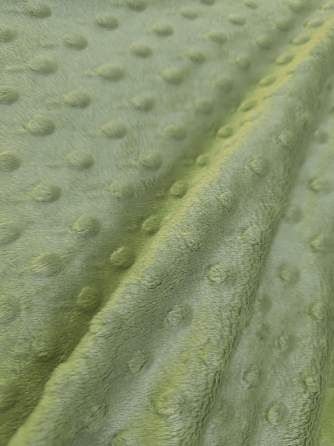 Pale Green Rich Embossed Dimple Dots Soft Velvety Minky Fabric for ...