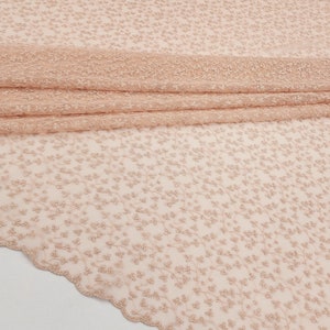 Blush Polyester Floral Embroidery on Mesh Lace Fabric by the Yard for Gowns, Capes, Bridesmaid, Costume, Garments, Decor & Events, Style 168