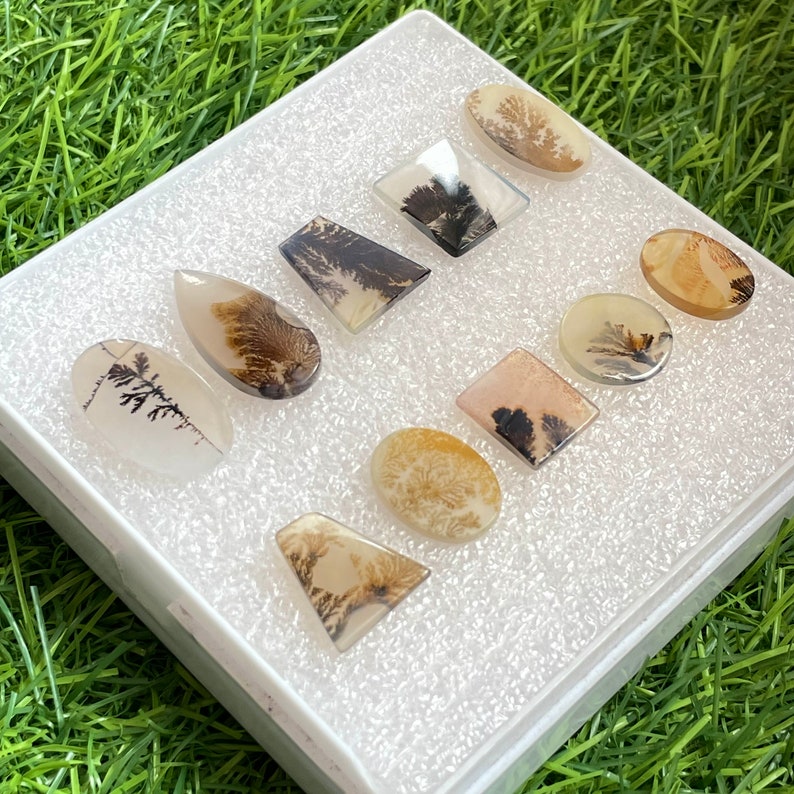 Puede incluir: Una colecci&oacute;n de cabujones de &aacute;gata dendr&iacute;tica en varias formas, incluyendo ovalados, de l&aacute;grima y rectangulares. Las piedras presentan intrincados patrones arb&oacute;reos en tonos marrones y negros sobre un fondo transl&uacute;cido, exhibidos en una caja blanca.