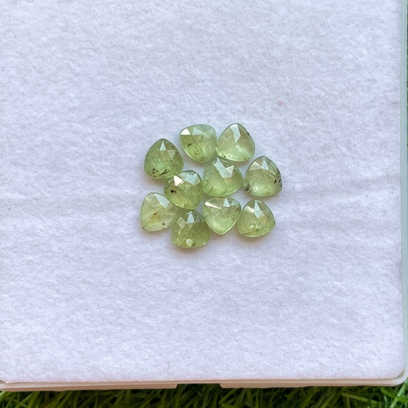 Natural Mint Green Kyanite Rosecut Gemstone Trillion Shape 8mm 9pcs Lot ...