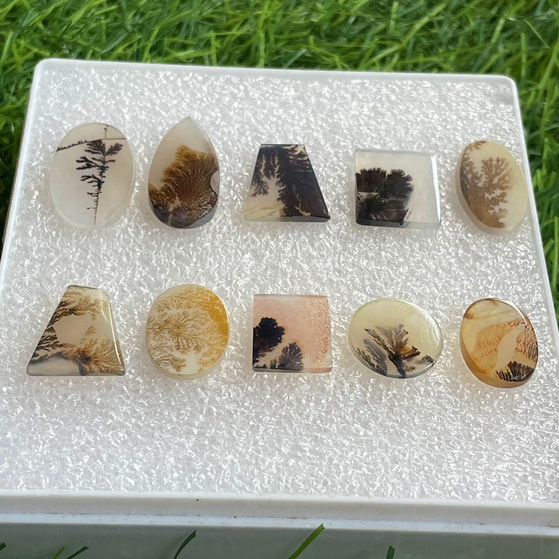 Puede incluir: Una colecci&oacute;n de diez piedras preciosas de &aacute;gata dendr&iacute;tica pulida en varias formas, incluyendo ovaladas y de l&aacute;grima. Las piedras presentan intrincados patrones arb&oacute;reos en tonos negros y marrones sobre un fondo transl&uacute;cido.