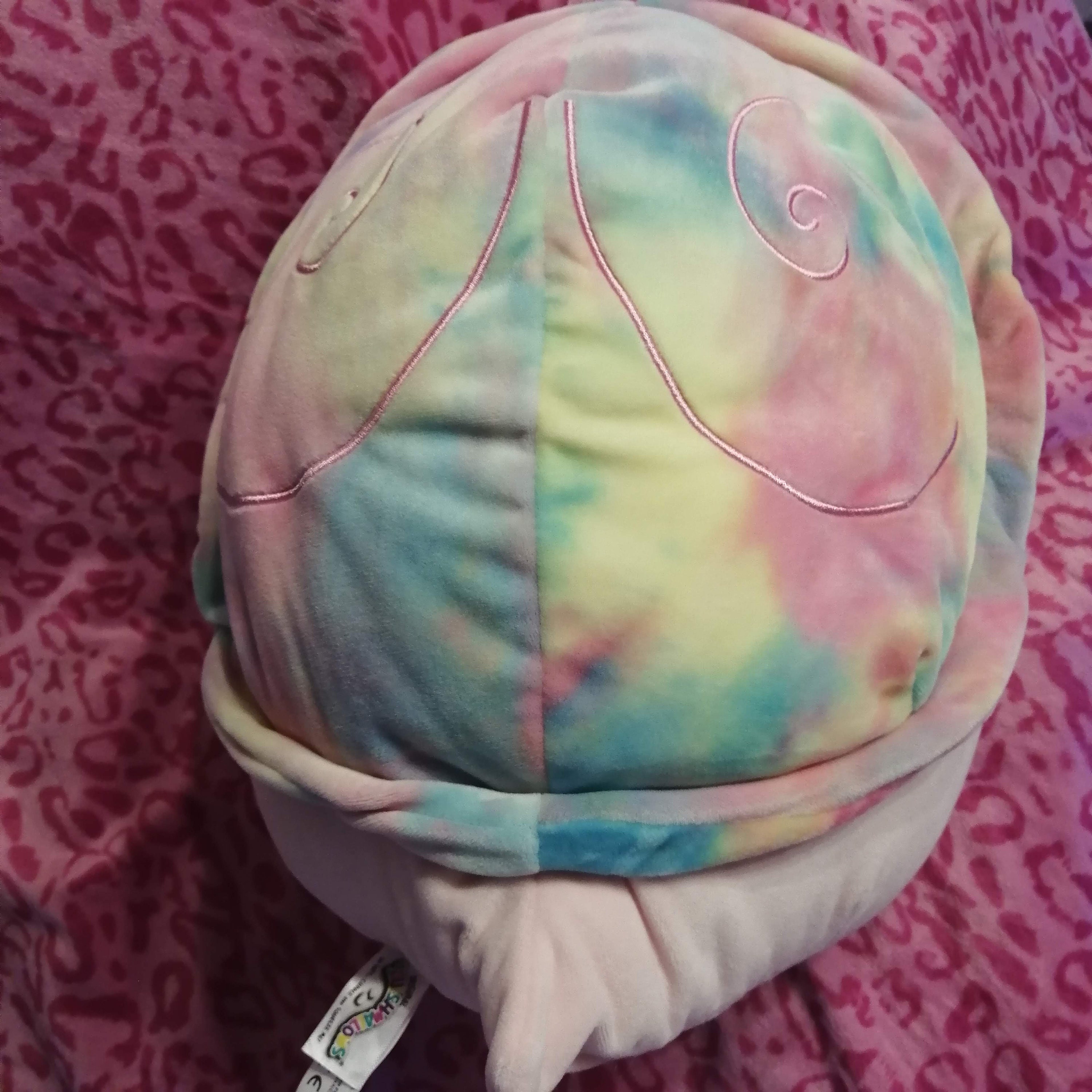 12 Inch Squishmallow Pink Silvina Snail BNWT | Etsy