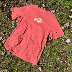 May include: A short-sleeved crew neck t-shirt in a muted coral red color. The center of the chest features a small, light yellow graphic print of a lizard with a textured, speckled pattern across its body and a long, curved tail.