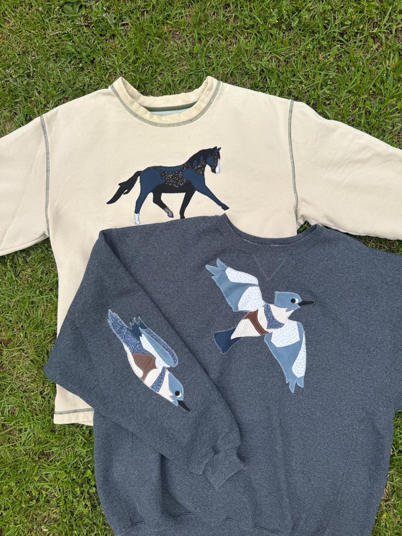 K&ouml;nnte beinhalten: Zwei Sweatshirts auf gr&uuml;nem Gras. Eines ist cremefarben mit einem schwarzen und blauen Pferde-Applikation. Das andere ist dunkelgrau mit einer blau-wei&szlig;en Vogel-Applikation auf Brust und &Auml;rmel. Beide haben einen Rundhalsausschnitt.