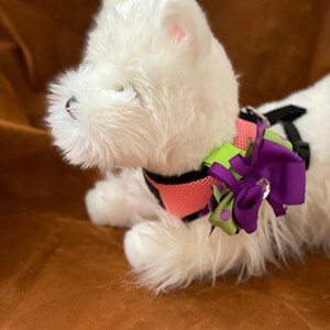 Collar Bow