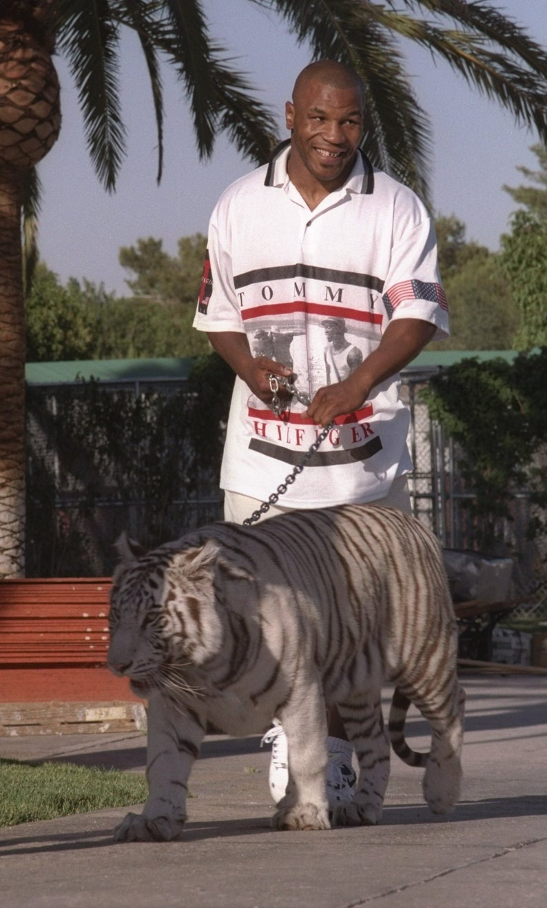 Mike Tyson walking his tiger white or black T-shirt | Etsy