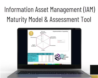 IAM Maturity Model & Assessment Tool: Advanced Gantt (XLSX)