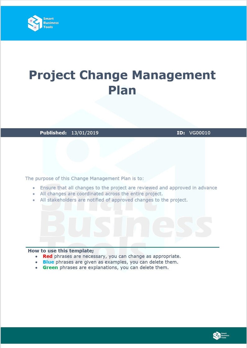 Project Change Management Plan - Etsy