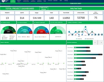 Excel Project Management Template with Gantt Chart, Tasks Tracker, Budget, Risks Issiu and Dashboard