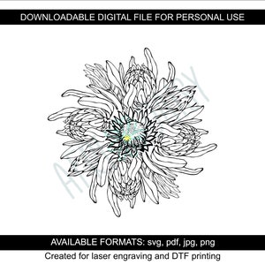 Protea Bouquet Digital File