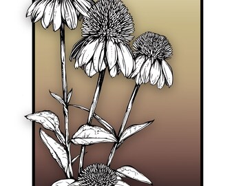 Echinacea Floral Print