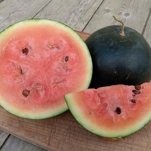 Watermelon Sugar Baby 1g / 20 Seeds - Citrullus Lanatus GMO Free