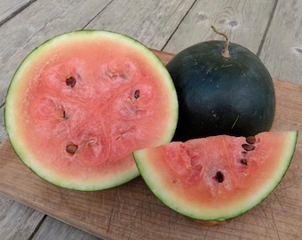 Watermelon Sugar Baby 1g / 20 Seeds - Citrullus Lanatus GMO Free