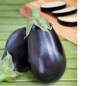 Aubergine Eggplant Brinjal Black Beauty 1g / 150 Seeds - Solanum Melongena GMO Free