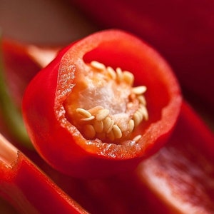 Cayenne Pepper / Anaheim Chili 0.2g / 10 Seeds - Capsicum Annuum GMO Free