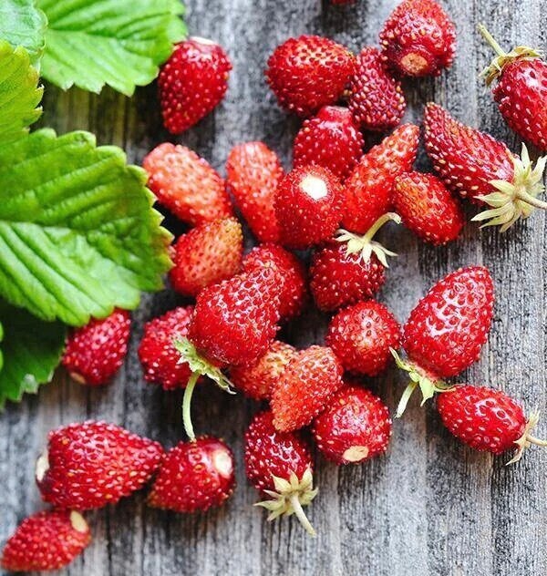 Strawberry Hydrosol