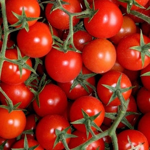 Cherry Tomato / Gartenperle 0.3g / 60 Seeds Lycopersicon Esculentum GMO Free image 2