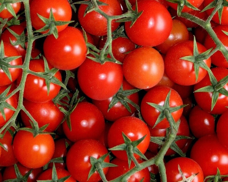 Cherry Tomato / Gartenperle 0.3g / 60 Seeds Lycopersicon Esculentum GMO Free image 2