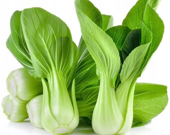 Chinese Cabbage Pak Choi 1g / 200 Seeds - Brassica Rapa Chinensis GMO Free