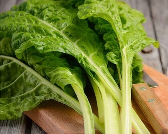 Bietola Svizzera Foglia Di Barbabietola Lukullus 5g / 200 Semi - Beta Vulgaris Senza OGM