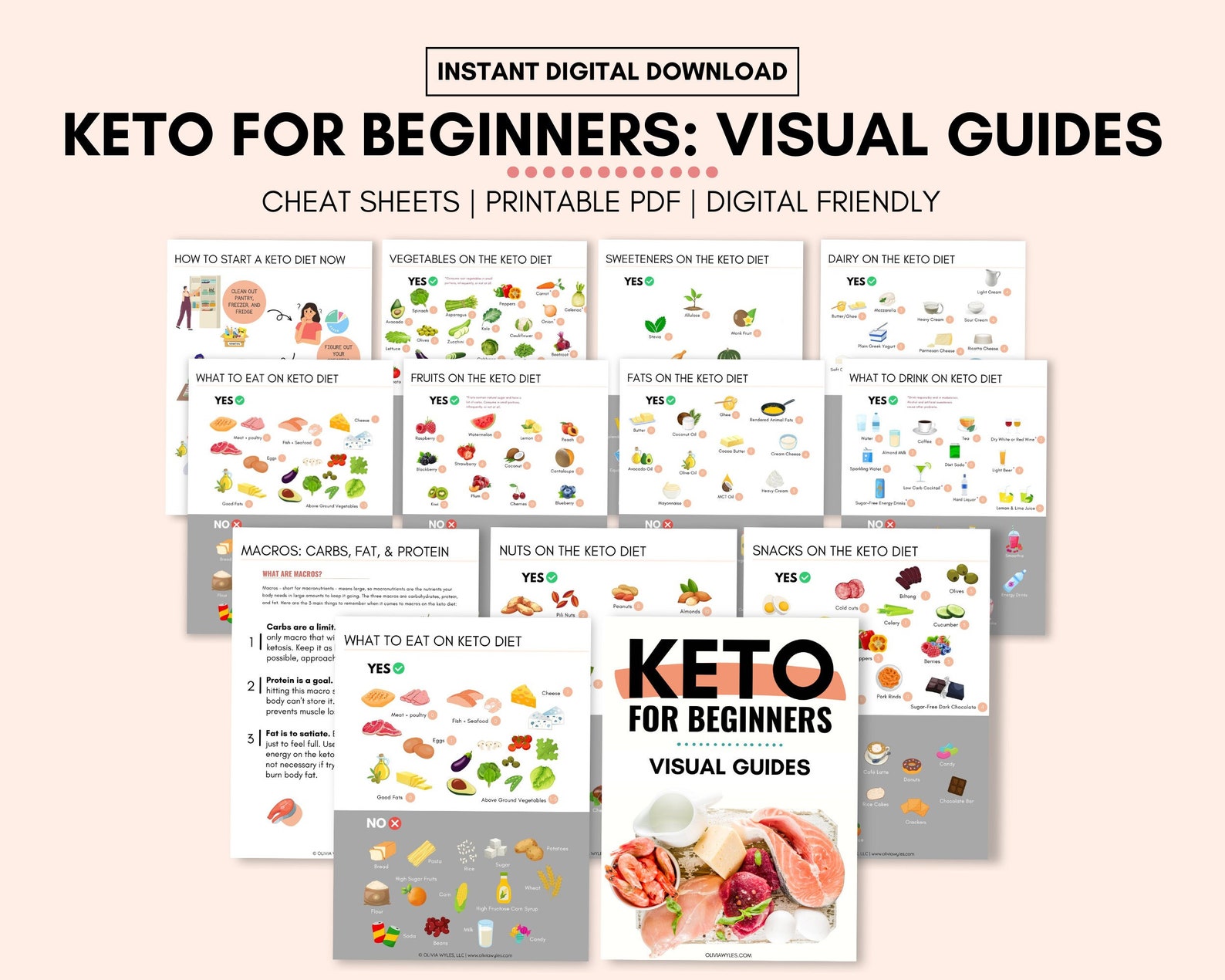 Keto for Beginners: Visual Guides Printable Keto Food List - Etsy