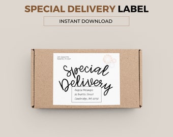 Special Delivery Parcel Label. A unique way to address your gift. College Care Package. Download, print, handwrite the address and send. PDF