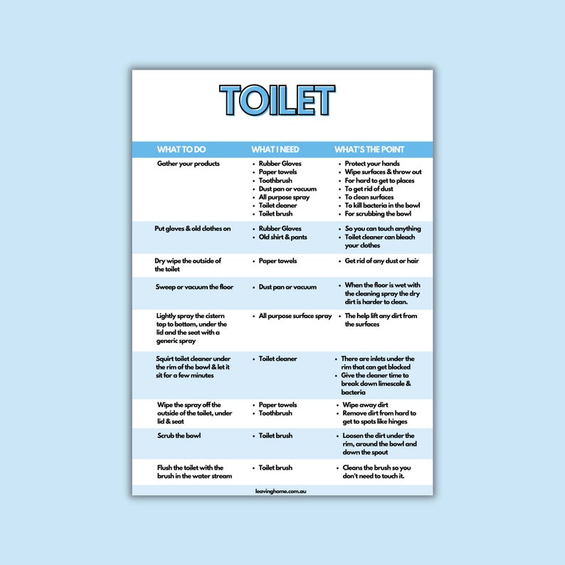 Toilet Cleaning Chore Sheet Step by Step Toilet Cleaning Etsy Australia