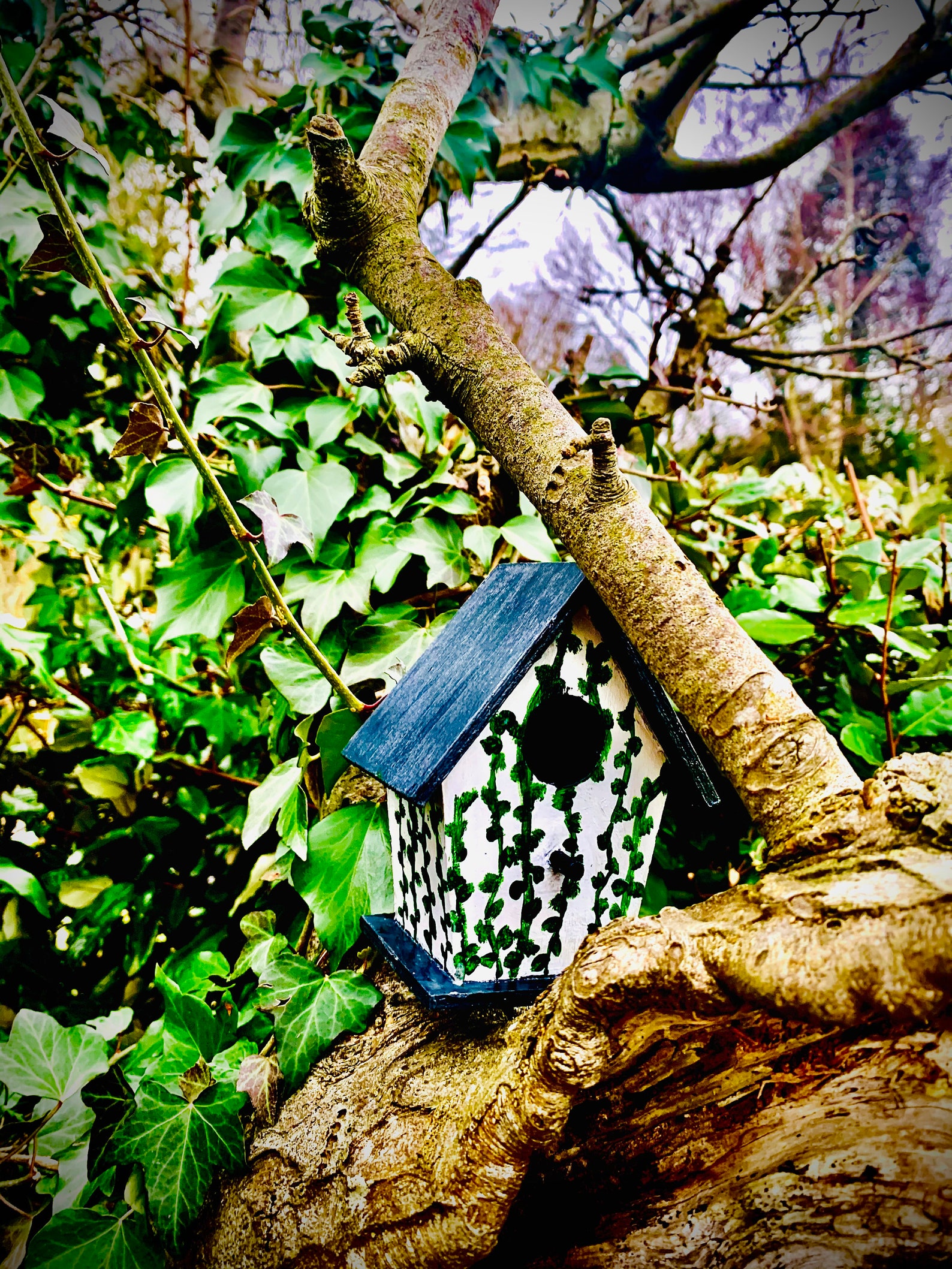 This is a hand painted birdbox. Etsy