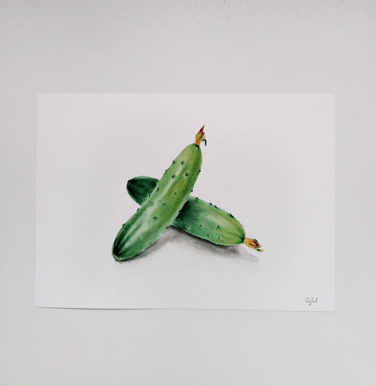 Cucumber Painting Watercolor Original Botanical Wall Art Etsy