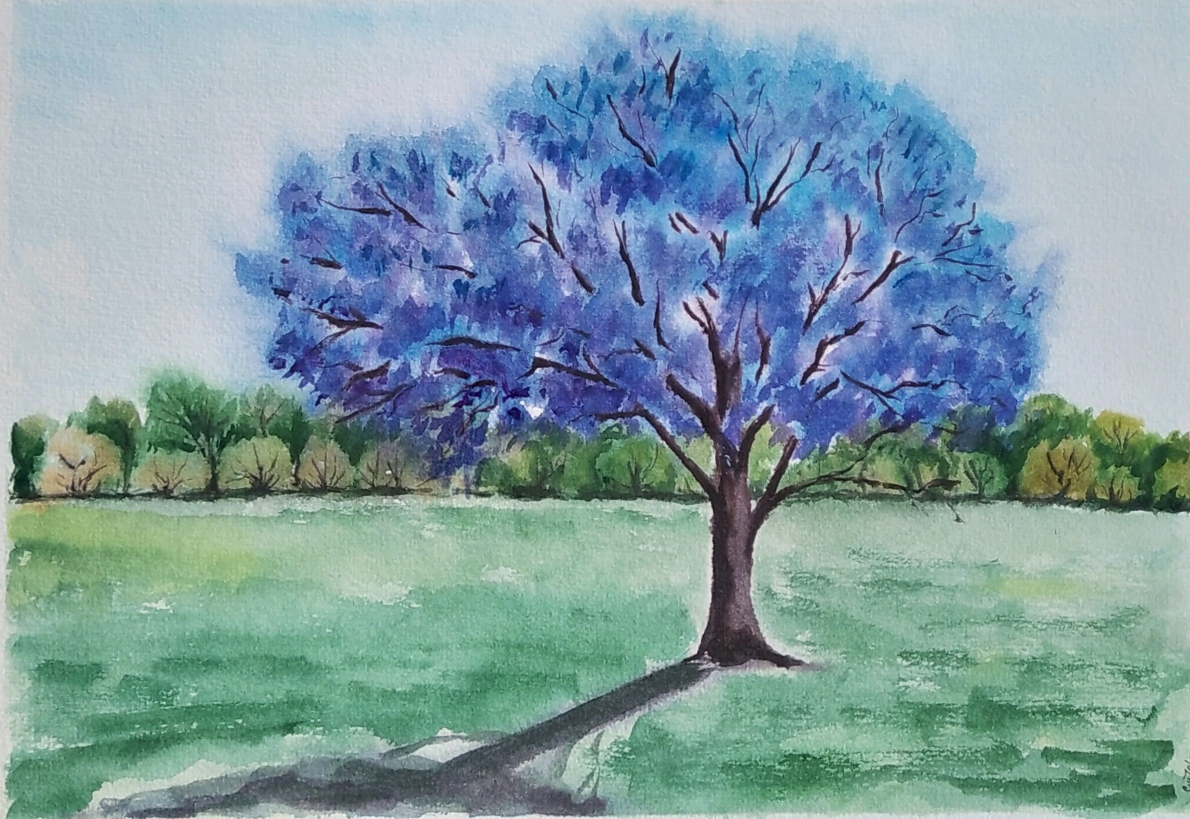 Jacaranda Tree Painting Watercolor Landscape California Art Etsy